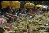 Sejumlah umat Hindu menghaturkan sesajen saat persembahyangan Hari Raya Galungan di Pura Jagatnatha, Denpasar, Bali, Rabu (30/5). Hari Raya Galungan yang merupakan hari kemenangan kebenaran (Dharma) atas kejahatan (Adharma) tersebut dirayakan setiap enam bulan sekali dengan melakukan persembahyangan di tiap-tiap Pura. ANTARA FOTO/Fikri Yusuf/wdy/2018