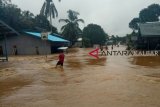 Kondisi banjir di Desa Riam Piyang Kecamatan Bunut Hulu wilayah Kapuas Hulu Kalimantan Barat yang saat ini merendam sejumlah pemukiman warga setempat. Hingga saat ini debit air semakin naik. Foto Antaranews/Timotius