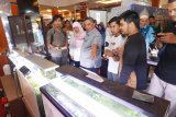 Wali Kota Banjarbaru H. Nadjmi Adhani (tengah menunjuk) meninjau The 2nd Banua Koi Club Young Koi Show 2018 di Q Mall Banjarbaru, Rabu (3/5). Pameran ikan koi ini merupakan even terbesar diikuti peserta dari luar Kalimantan  seperti  dari Jakarta, Bogor, Yogyakarta, Kediri, Blitar, dan dari Surabaya memamerkan kurang lebih 400 ekor ikan koi dari ukuran 10 cm sampai 65 cm. Foto: Antaranews Kalsel/hms/f 