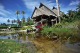 PESONA PULAU NYANG-NYANG