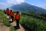 Sejumlah tim evakuasi gabungan melintas dijalur pendaki Gunung Merapi dengan berlatar belakang Gunung Merbabu di Selo, Boyolali, Jawa Tengah, Jumat (11/5). Menurut data Pos Pendakian Gunung Merapi Selo saat terjadi letusan freatik Gunung Merapi terdapat sedikitnya 160 pendaki berada di Gunung Merapi, dan sejanjutnya pendakian Gunung Merapi ditutup hingga batas waktu yang belum ditentukan. ANTARA FOTO/Aloysius Jarot Nugroho/aww/18.