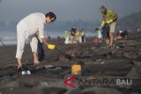 Konsul Jenderal Australia Helena Studdert (kedua kiri) bersama masyarakat Bali memungut sampah plastik yang berserakan di Pantai Biaung, Denpasar, Bali, Sabtu (2/6). Aksi bersih-bersih sampah pantai yang diprakarsai Konsulat Jenderal Australia tersebut melibatkan warga, anak sekolah, warga negara Australia dan komunitas peduli lingkungan untuk  mempromosikan penerapan pariwisata ramah lingkungan di Bali dan Nusa Tenggara Barat (NTB). Antaranews Bali/Nyoman Budhiana/2018.