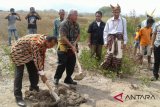 Penerbitan Amdal PT GIN terkendala izin lokasi