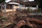 Warga membersihkan rumahnya dari material pasir dan lumpur akibat banjir bandang di Desa Alas Malang, Singojuruh, Banyuwangi, Jawa Timur, Sabtu (23/6). Akibat kejadian tersebut sedikitnya 328 unit rumah rusak  dan meninggalkan endapan lumpur dan pasir setinggi satu meter di pemukiman warga. Antara jatim/Zabur Karuru/18