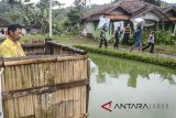 Petugas tempat pemungutan suara (TPS) memikul logistik Pilkada dari panitia pemungutan suara Desa Cilangari menuju TPS Kampung Cibuluh di perbatasan Kabupaten Bandung Barat dengan Kabupaten Cianjur, Jawa Barat, Selasa (26/6). KPU Provinsi Jawa Barat mendistribusikan logistik secara serentak ke 74 ribu TPS yang ada di 29 Kabupaten/Kota Jawa Barat jelang pemilihan umum pada (27/6). ANTARA JABAR/Raisan Al Farisi/agr/18