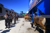 Panglima Koarmada III Sorong, Laksda TNI ING Ariawan, S.E, M.M (kiri) memberikan seekor sapi kepada Satgas Rimpac 2018 di Pelabuhan Umum Kota Jayapura, Papua, Minggu (10/6). Satgas RIMPAC 2018 mendapatkan pemberian bantuan enam ekor sapi, masing-masing empat ekor sapi dari KASAL, satu ekor sapi dari Pangdam XVII Cendrawasih dan satu ekor dari Panglima Koarmada III Sorong, Laksda TNI ING Ariawan, S.E, M.M untuk menambah perbekalan selama berlayar menuju Hawaii guna mengikuti latihan perang multilateral Rim Of The Pacific.Antara Jatim/Budi Candra Setya/zk/18.