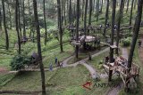 Pengunjung menikmati suasana alam di kawasan Ecowisata Orchid Forest Cikole, Lembang, Kabupaten Bandung Barat, Jawa Barat, Sabtu (16/6). Libur Lebaran dimanfaatkan warga untuk berwisata bersama keluarga di taman bermain bernuansa alam. ANTARA JABAR/M Agung Rajasa/agr/18.
