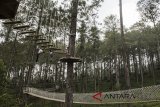 Pengunjung bermain di kawasan Ecowisata Orchid Forest Cikole, Lembang, Kabupaten Bandung Barat, Jawa Barat, Sabtu (16/6). Libur Lebaran dimanfaatkan warga untuk berwisata bersama keluarga di taman bermain bernuansa alam. ANTARA JABAR/M Agung Rajasa/agr/18.
