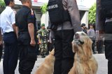 Personel Brimob dengan membawa anjing K-9 berada di antara peserta apel saat gelar kesiapan angkutan Lebaran 2018 di halaman kantor PT Kereta Api Indonesia (KAI) Daerah Operasi (Daop) 7 Madiun, Jawa Timur, Selasa (5/6). PT KAI Daop 7 melibatkan 1.979 personel terdiri dari Polsuska, Security, Petugas Penilik Jalan (PPJ), penjaga perlintasan ekstra, TNI, Polri dan unit K-9 Brimob Polda Jatim dalam pengamanan angkutan Lebaran yang berlangsung 5-26 Juni 2018. Antara Jatim/Foto/Siswowidodo/zk/18
