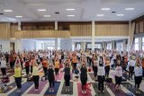 Ratusan pecinta senam melakukan gerakan yoga secara bersama-sama di Bandung, Jawa Barat, Jumat (22/6). Senam yoga yang diikuti oleh 220 peserta dari komunitas pecinta senam yoga se-Jawa Barat dan DKI Jakarta tersebut dilakukan dalam rangka memperingati hari yoga internasional yang jatuh pada 21 Juni lalu. ANTARA JABAR/Raisan Al Farisi/agr/18