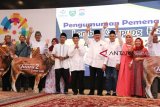 Kampung cempaka juara lomba kampung hias Asian Games 2018