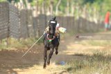 Seekor kambing dipacu saat dilakukan uji coba di Lapangan Kerapan Sapi Desa Mortajih, Pamekasan, Jawa Timur, Rabu (20/6). Menjelang kerapan kambing se Madura pada pekan pertama bulan Juli, para pegiat mulai menyiapkan kambing kerapannya. Antara Jatim/Saiful Bahri/zk/18