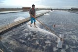 Petani memanen garam di lahan garam Desa Bunder, Pamekasan, Jawa Timur, Kamis (28/6). Sejumlah petani garam di Madura mulai memanen garam olahannya setelah beberapa kali sempat gagal panen karena terkendala cuaca. Antara Jatim/Saiful Bahri/zk/18