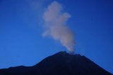     Asap putih atau sulfatara terlihat dari puncak Gunung Merapi di Tlogolele, Selo, Boyolali, Jawa Tengah, Sabtu (2/6/2018). Menurut Balai Penyelidikan dan Pengembangan Teknologi Kebencanaan Geologi (BPPTKG) Yogyakarta, kejadian letusan Gunung Merapi pada hari Jumat (1/6/2018) pukul 20.24 WIB itu merupakan pelepasan gas. (ANTARA /Aloysius Jarot Nugroho)