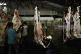 Pekerja memotong sapi di Rumah Pemotongan Hewan (RPH) Surabaya, Jawa Timur, Senin (11/6) dini hari.  Di Bulan Ramadan jumlah sapi yang dipotong di tempat itu meningkat dibanding hari biasanya dari sekitar 150 ekor sapi menjadi sekitar 225 ekor sapi dan diprediksi akan meningkat menjadi sekitar 300 sampai 350 ekor sapi pada tiga hari kedepan. Antara jatim/Didik Suhartono/zk/18