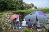 Warga memancing di bantaran Sungai Citarum yang dipenuhi sampah di Batujajar, Kabupaten Bandung Barat, Jawa Barat, Sabtu (2/6). Pemerintah melalui Kementerian Riset dan Teknologi telah melibatkan instansi pendidikan baik di Jawa Barat maupun Jakarta untuk mengurangi pencemaran Sungai Citarum yang akan berfokus pada konservasi alam dan pencegahan penggundulan hutan. ANTARA JABAR/Raisan Al Farisi/agr/18