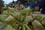 Pedagang musiman mununggui cangkang ketupat dagangannya di Pasar 17 Agustus Pamekasan, Jawa Timur, Kamis (21/6). Mereka menawarkan dagangannya memanfaatkan momentum lebaran ketupat dengan harga  Rp4000 hingga Rp5000 per ikat isi 10 cangkang. Antara Jatim/Saiful Bahri/zk/18