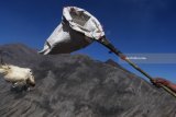 Warga berusaha menjaring ayam yang dilarung masyarakat Suku Tengger ke kawah Gunung Bromo pada Upacara Yadnya Kasada, Probolinggo, Jawa Timur, Sabtu (30/6). Upacara Kasada merupakan upacara adat masyarakat Suku Tengger sebagai bentuk ucapan syukur kepada Sang Hyang Widi sekaligus meminta berkah dan menjauhkan dari malapetaka. Antara Jatim/Zabur Karuru/18