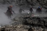 Warga berebut ayam yang dilarung masyarakat Suku Tengger di kawah Gunung Bromo pada Upacara Yadnya Kasada, Probolinggo, Jawa Timur, Sabtu (30/6). Upacara Kasada merupakan upacara adat masyarakat Suku Tengger sebagai bentuk ucapan syukur kepada Sang Hyang Widi sekaligus meminta berkah dan menjauhkan dari malapetaka. Antara Jatim/Zabur Karuru/18