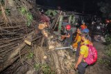 Foto kemarin: Pohon tumbang akibat puting beliung