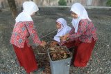 Sejumlah siswa membersihkan pekarangan sekolah pada hari pertama sekolah setelah libur Idul Fitri di Sekolah Dasar Negeri (SDN) Suak Timah, Samatiga, Aceh Barat, Aceh, Kamis (21/6). Hari pertama masuk, kegiatan sekolah diisi dengan bersih-bersih pekarangan sekolah. ANTARA FOTO/Syifa Yulinnas/ama/18.