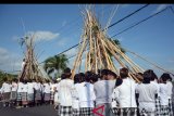 Sejumlah pemuda menyatukan galah membentuk gunung dalam Tradisi Mekotek di Desa Munggu, Kabupaten Badung, Bali, Sabtu (9/6). Tradisi tersebut digelar bertepatan dengan perayaan Hari Raya Kuningan yang bertujuan untuk memohon keselamatan. ANTARA FOTO/Wira Suryantala/wdy/2018