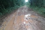 PUPR Bartim rencanakan peningkatan jalan Dayu-Balawa-Murutuwu