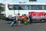 Sejumlah pemudik yang mengikuti program mudik gratis Pemkab Jember rute Jakarta-Jember tiba di halaman Kantor Pemkab Jember, Jawa Timur, Selasa (12/6). Pemkab Jember menyiapkan 12 bus untuk program mudik gratis ke sejumlah daerah. Antara Jatim/ Zumrotun Solichah/zk/18