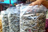 Ikan bilih belum terdaftar sebagai produk Indikasi Geografis