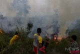 Kebakaran lahan di pemulutan