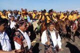 Mbilijora committed to continue to conserve Sandalwood horses