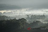 Suasana pedesaan yang tertutup kabut di Lembang, Kabupaten Bandung Barat, Jawa Barat, Sabtu (7/7). Badan Meteorologi, Klimatologi dan Geofisika (BMKG) mencatat, suhu minimum di Kota Bandung mencapai 16,4 derajat celcius akibat adanya aliran massa dingin di sebelah selatan garis khatulistiwa. ANTARA JABAR/Raisan Al Farisi/agr/18