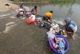 Sejumlah warga memanfaatkan sumbatan aliran Sungai Cileungsi untuk mencuci pakaian di kawasan Citeureup , Bogor, Jawa Barat, Sabtu (21/7). Musim kemarau berdampak pada sumur warga didaerah tersebut mengering sehingga warga memanfaatkan sungai untuk kegiatan mandi, cuci dan kakus . ANTARA JABAR/Yulius Satria Wijaya/agr/18.
