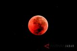 Bulan tampak berwarna merah darah saat terjadinya fenomena gerhana bulan total di langit Indramayu, Jawa Barat, Sabtu (28/7). Gerhana bulan total tahun ini merupakan fenomena langka karena terjadi selama 1 jam 43 menit atau merupakan gerhana terlama yang terjadi di abad ini. ANTARA JABAR/Dedhez Anggara/agr/18.