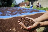 Petani menunjukkan cengkih saat di jemur di kawasan Cimenyan, Kabupaten Bandung, Jawa Barat, Selasa (10/7). Memasuki masa panen raya, harga cengkih di kebun turun di kisaran Rp 90.000 per kg dari harga biasanya dikisaran Rp 100.000 per kg. ANTARA JABAR/Heru Salim/agr/18.

