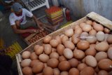 Pekerja menata telur ayam di sebuah tempat usaha ternak ayam petelur di Takeran, Magetan, Jawa Timur, Jumat (13/7). Menurut peternak, selama beberapa hari terakhrir harga telur ayam di tingkat peternak naik dari Rp20.000 menjadi Rp24.000 per kilogram, dan harga tersebut jauh lebih tinggi dari harga normal Rp16.000 hingga Rp17.000 per kilogram. Antara Jatim/Siswowidodo/zk/18