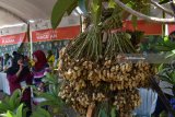 Pengunjung melihat stand pameran saat digelar peringatan Hari Krida Pertanian di Kabupaten Magetan, Jawa Timur, Kamis (5/7). Dinas Pertanian setempat memberikan keleluasaan bagi pengunjung untuk memilih dan memetik sendiri berbagai hasil perkebunan yang dibeli saat kegiatan tersebut. Antara Jatim/Siswowidodo/mas/18.