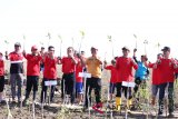 Gubernur Kalimantan Selatan H Sahbirin Noor Mencanangkan Penanaman 20 Ribu Pohon Mangrove di Pesisir Desa Pagatan Besar, Kecamatan Takisung, Kabupaten Tanah Laut, Jum'at (20/7).Foto:Antaranews Kalsel/Arianto.