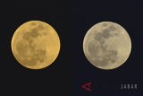 Foto kolase bulan saat muncul menjelang gerhana bulan total 