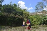 Warga melintas dekat jembatan gantung yang roboh di Desa Ciparay, Kecamatan Cidolog, Kabupaten Ciamis, Jawa Barat, Rabu (11/7). Sebanyak 15 orang warga mengalami luka akibat terjatuh saat melintasi jembatan yang terbuat dari bambu menggunakan kabel sling sepanjang 30 meter itu dan penyebab robohnya jembatan diduga karena kelebihan beban warga secara bersamaan melintasi untuk pergi ke acara undangan pernikahan. ANTARA JABAR/Adeng Bustomi/agr/18