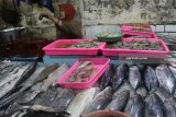 Pedagang menimbang ikan laut yang didatangkan dari Lumajang dan Probolinggo di Pasarbesar, Malang, Jawa Timur, Jumat (28/7). Dampak gelombang tinggi yang mengakibatkan kurangnya suplai ikan laut di pasaran membuat pedagang ikan setempat harus mencari pasokan hingga ke luar kota. Antara Jatim/Ari Bowo Sucipto/mas/18.