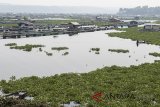 Nelayan melintas diantara eceng gondok di waduk Cirata, Dermaga Pasir Geulis, Kabupaten Bandung Barat, Jawa Barat, Kamis (19/7). Pemerintah Provinsi Jawa Barat akan membersihkan enceng gondok di waduk tersebut dalam rangka mengembalikan fungsi waduk. ANTARA JABAR/M Agung Rajasa/agr/18.