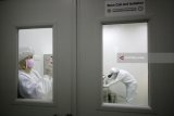 Peneliti melakukan penelitian sel punca di laboratorium 