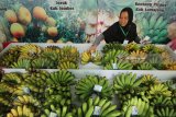 Pedagang memberi label harga buah pisang di salah satu stan petani binaan Petrokimia Gresik (PG) saat pembukaan Petro Agrifood Expo 2018 di Gresik, Jawa Timur, Jumat (20/8). Kegiatan yang digelar mulai 20-22 Juli 2018 tersebut bertujuan untuk menunjukkan kepada masyarakat mengenai keberhasilan petani binaan, media agroekowisata serta penjualan berbagai hasil dan produk olahan pertanian. Antara jatim/Moch Asim/18