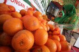 Pengunjung memilih buah jeruk di stan Petroganik saat pembukaan Petro Agrifood Expo 2018 di Gresik, Jawa Timur, Jumat (20/8). Kegiatan yang digelar mulai 20-22 Juli 2018 tersebut bertujuan untuk menunjukkan kepada masyarakat mengenai keberhasilan petani binaan, media agroekowisata serta penjualan berbagai hasil dan produk olahan pertanian. Antara Jatim/Moch Asim/18