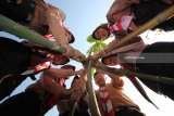 Anggota Pramuka menanam pohon di Taman Harmoni Surabaya, Jawa Timur, Sabtu (28/7). Aksi tanam pohon yang diikuti 300 anggota Pramuka dari berbagai daerah di Jawa Timur tersebut guna membentuk generasi muda yang peduli terhadap lingkungan sekailgus merupakan rangkaian kegiatan untuk memperingati Hari Pramuka ke-57. Antara jatim/Moch Asim/zk/18