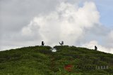 Suasana perkebunan teh di Taraju, Kabupaten Tasikmalaya, Jawa Barat, Jumat (13/7). Kementerian Pertanian memprediksi produksi teh nasional dalam negeri hanya meningkat kurang dari satu persen dibanding tahun lalu, yaitu mencapai 139.362 ton pada 2017 sedangkan produksi teh nasional tahun 2018 diestimasi hanya akan mencapai 140.084 ton. ANTARA JABAR/Adeng Bustomi/agr/18
