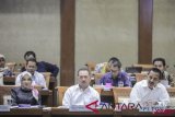 Dirut PGN Jobi Triananda Hasjim (kanan) bersama Deputi Bidang Usaha Pertambangan, Industri Strategis dan Media Kementerian BUMN Fajar Harry Sampurno (tengah) dan Plt Dirut Pertamina Nicke Widyawati (kiri) mengikuti Rapat Dengar Pendapat (RDP) dengan Komisi VI DPR di Komplek DPR, Jakarta, Selasa (17/7/2018). RDP tersebut membahas progres pembentukan holding BUMN Migas yang proses konsolidasinya ditargetkan selesai dalam waktu 5 tahun. (ANTARA /Muhammad Adimaja)