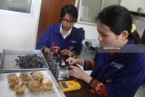 Mahasiswa menunjukkan cara kerja Reaktor Electricity Production from Microorganism (EPIC)l hasil inovasinya di Laboratorium Sumberdaya Alam dan Lingkungan FTP, UB, Malang, Jawa Timur, Senin (2/7). Reaktor hasil inovasi mahasiswa tersebut mampu mengubah limbah organik seperti kulit jeruk, kulit pisang serta sisa sayuran menjadi energi listrik. Antara Jatim/Ari Bowo Sucipto/zk/18.