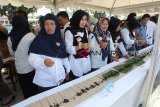 Pemerintah Kabupaten Kaur, Provinsi Bengkulu, berhasil mencetak rekor dunia yang dicatat di Museum Rekor Indonesia pada Festival Gurita, Senin, dengan menyajikan sebanyak 6.011 tusuk sate. (Foto Antarabengkulu.com/David Muharmansyah)